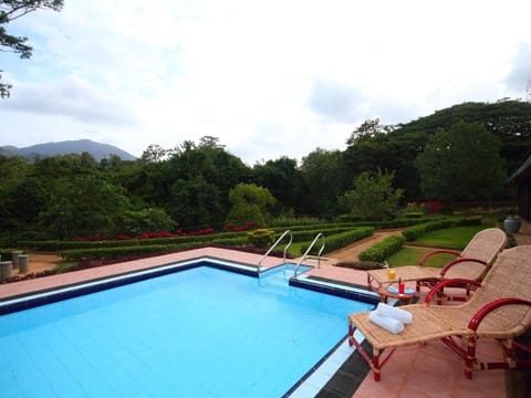 Outdoor pool, sun loungers