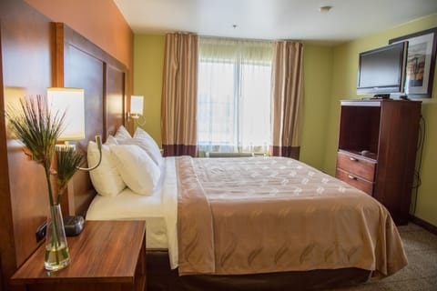 Suite, 1 King Bed, Accessible, Non Smoking (Efficiency) | Desk, iron/ironing board, free WiFi, bed sheets