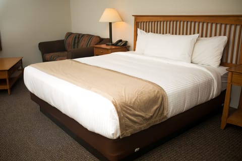 Standard Room, 1 King Bed | Desk, soundproofing, rollaway beds, free WiFi