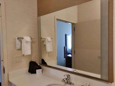 Suite, 1 Bedroom | Bathroom | Shower, free toiletries, hair dryer, towels