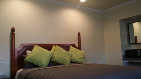 Basic Room, 1 King Bed | Desk, iron/ironing board, free WiFi