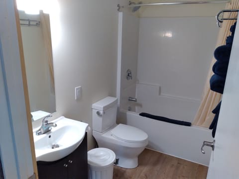 Business Suite | Bathroom | Free toiletries, towels