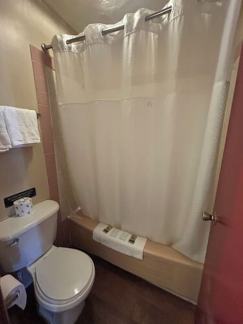 Free toiletries, towels