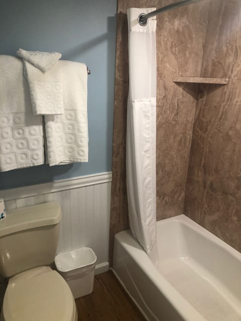 Combined shower/tub, free toiletries, hair dryer, towels