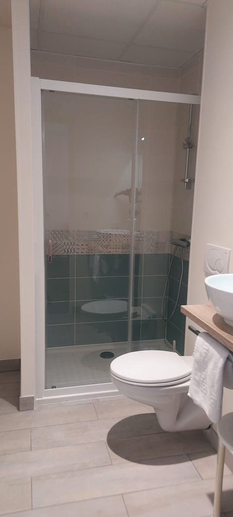 Double Room | Bathroom | Shower, hair dryer, towels