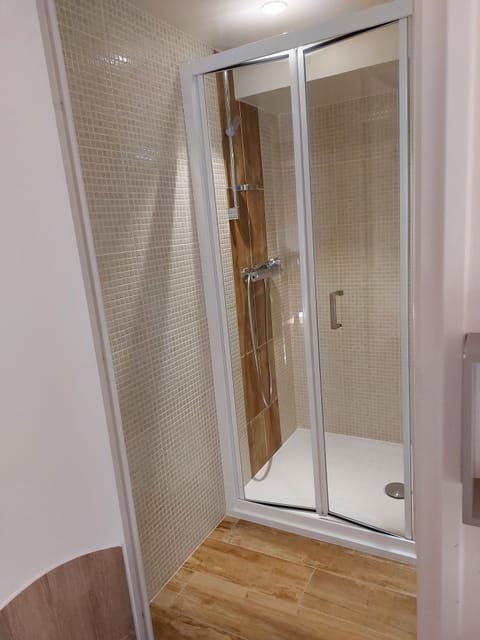 Single Room | Bathroom | Shower, hair dryer, towels