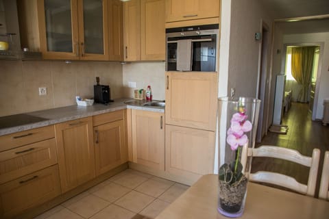 Apartment, 1 Bedroom, Terrace | Private kitchen | Fridge, microwave, stovetop, coffee/tea maker