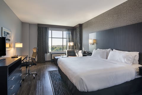 Suite, 1 King Bed, Accessible (Communication, Roll-In Shower) | Desk, laptop workspace, blackout drapes, soundproofing
