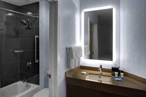 Studio Suite, 1 King Bed, Accessible, Bathtub | Bathroom | Combined shower/tub, designer toiletries, hair dryer, towels