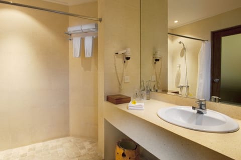 Superior Room | Bathroom | Shower, free toiletries, hair dryer, bathrobes