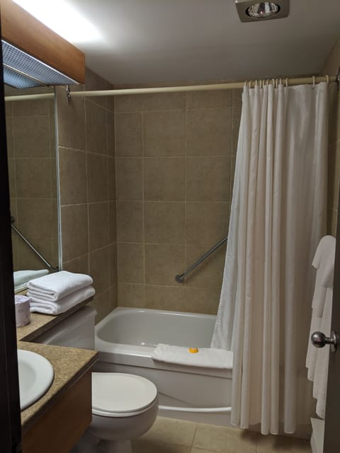 Regular room - main pavilion | Bathroom | Combined shower/tub, free toiletries, hair dryer, bathrobes