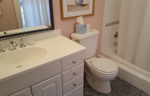 Deluxe Room | Bathroom | Free toiletries, hair dryer, towels, shampoo