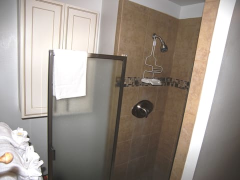 Apartment (1 Bedroom) | Bathroom | Combined shower/tub, free toiletries, hair dryer, towels