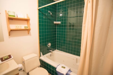 Combined shower/tub, free toiletries, towels