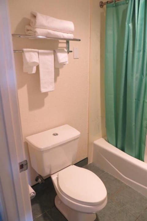 Combined shower/tub, free toiletries, towels