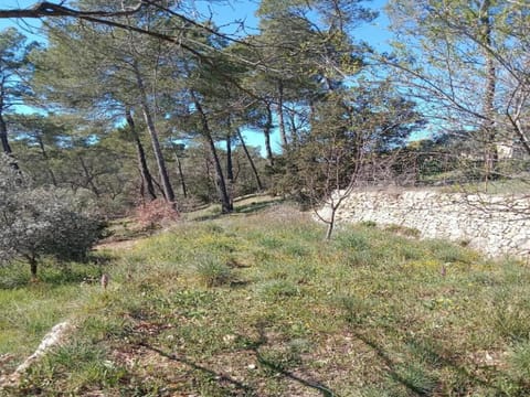 Region [summer] (>5 km)