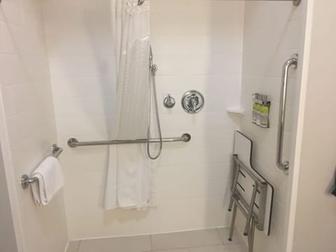 Standard Room, 1 King Bed, Accessible (Roll-In Shower) | Bathroom shower