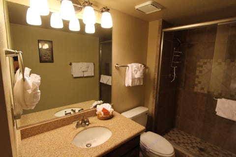 Standard Villa, 2 Bedrooms | Bathroom | Hair dryer, towels