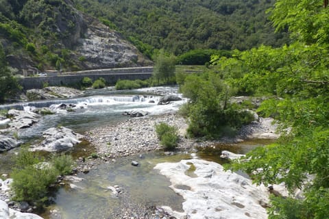 Immediate Surroundings [summer] (<1 km)