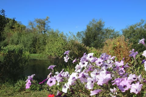 Surroundings [summer] (1-5 km)