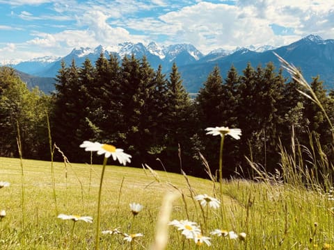 Region [summer] (>5 km)