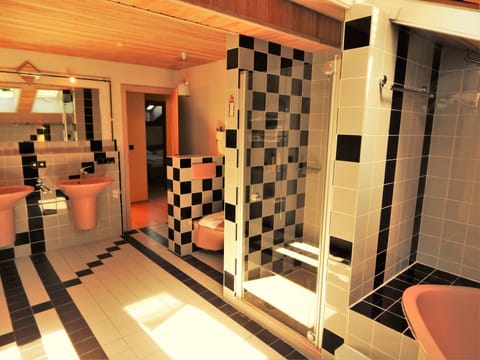 Suite | Bathroom | Free toiletries, hair dryer, towels