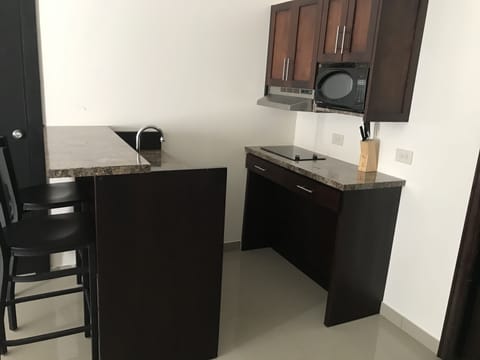 Premium Room, 1 King Bed | Private kitchenette | Mini-fridge, microwave, coffee/tea maker