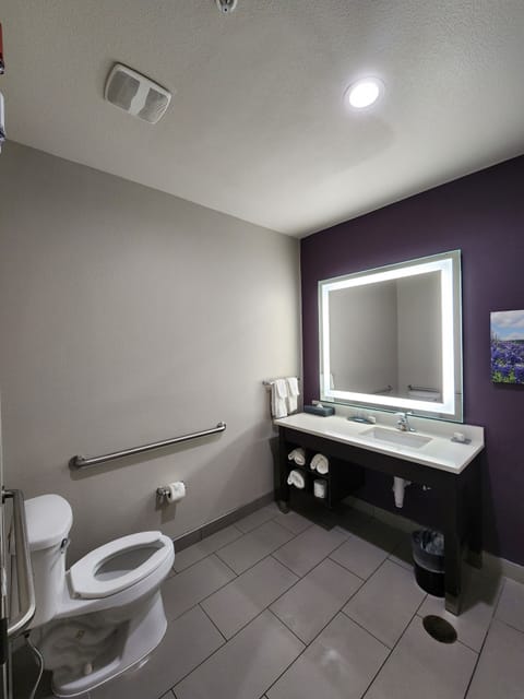 Room, 1 King Bed, Accessible, Non Smoking (Mobility/Hearing, Roll-In Shower) | Bathroom | Free toiletries, hair dryer, towels