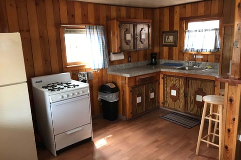 Deluxe King Cabin | Private kitchenette | Mini-fridge, microwave, coffee grinder