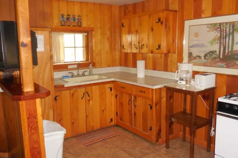 Deluxe Queen Cabin | Private kitchenette | Mini-fridge, microwave, coffee grinder