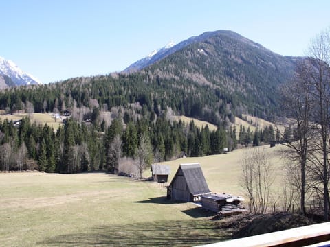 View from Holiday Home [summer]