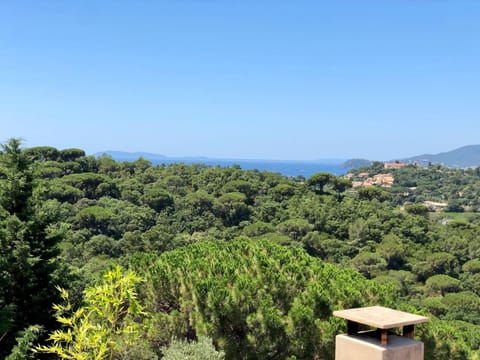 View from Holiday Home [summer]