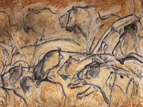 Region [summer] (>5 km)