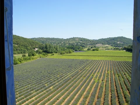 View from Holiday Home [summer]