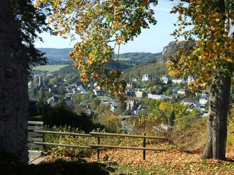 Region [summer] (>5 km)