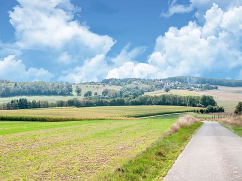 Surroundings [summer] (1-5 km)