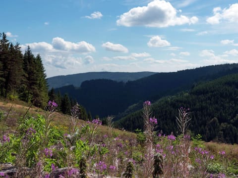 Immediate Surroundings [summer] (<1 km)