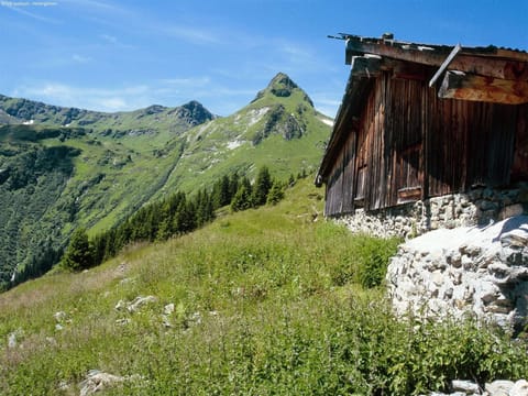 Surroundings [summer] (1-5 km)