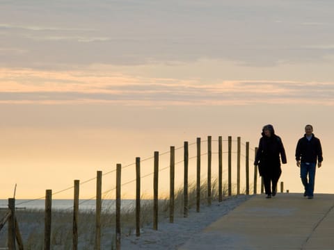 Immediate Surroundings [summer] (<1 km)