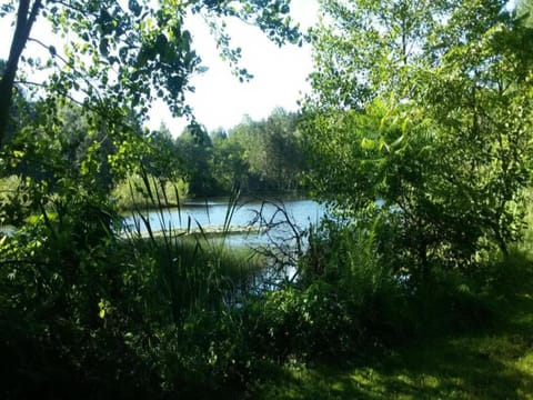 Surroundings [summer] (1-5 km)