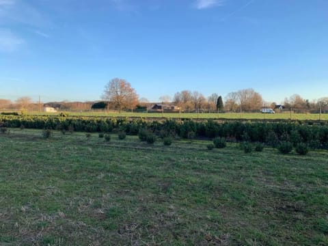 Region [summer] (>5 km)