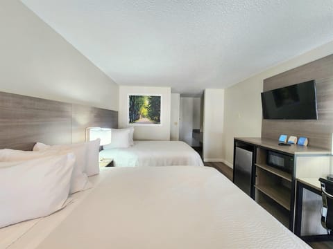 Standard Room, 2 Queen Beds | Pillowtop beds, desk, blackout drapes, iron/ironing board