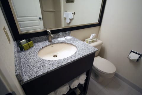 Executive Room | Bathroom | Combined shower/tub, free toiletries, hair dryer, towels