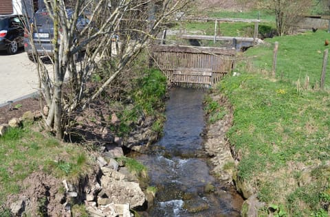 View from Holiday Home [summer]