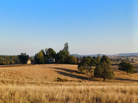 Region [summer] (>5 km)