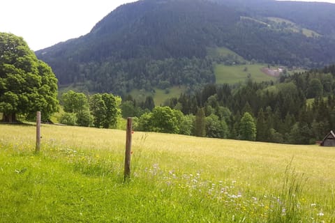 Immediate Surroundings [summer] (<1 km)