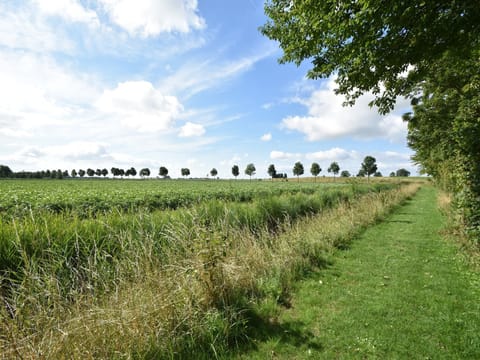 View from Holiday Home [summer]
