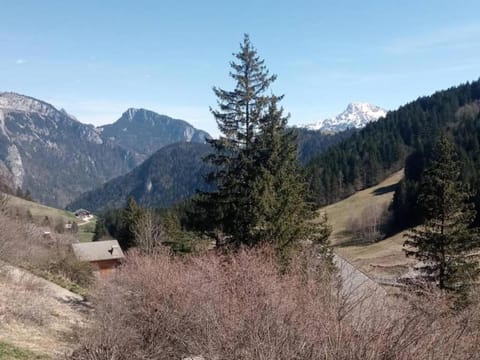 Region [summer] (>5 km)