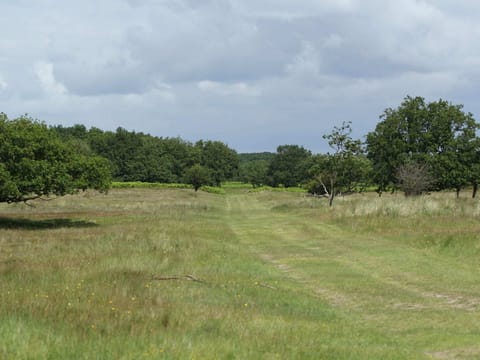 Region [summer] (>5 km)