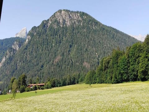 Region [summer] (>5 km)